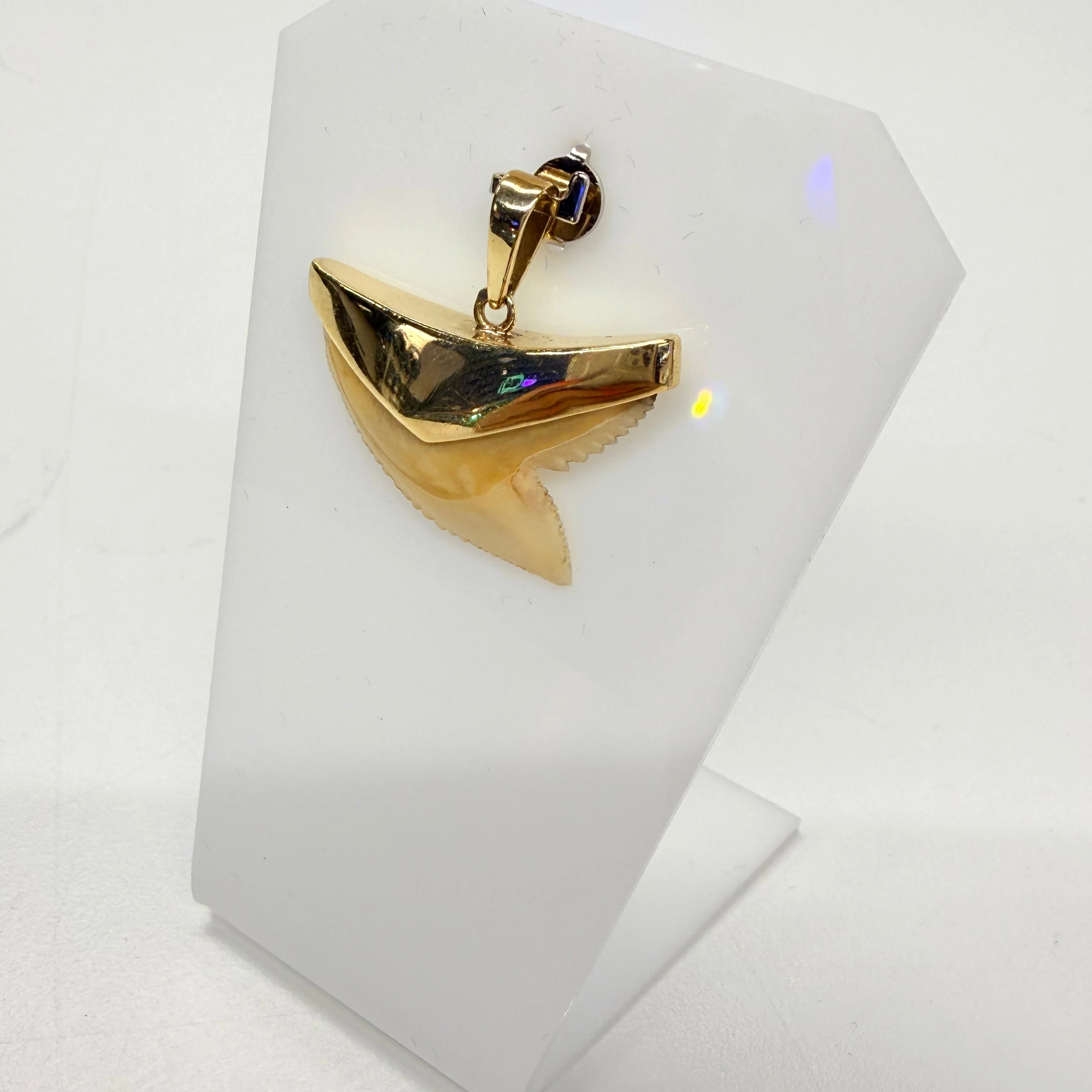 Miniature 5